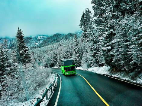 Flixbus e l’effetto Olimpiadi: prenotazioni quadruplicate