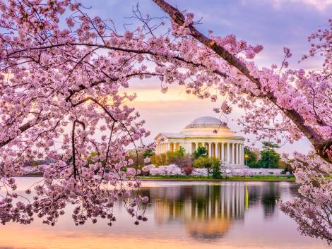 Washington DC