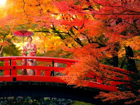 Asian traveler on Kimono traditional japanese dress standing with red umbrella in Golden kinkakuji temple in autumn park on Kyoto city, Japan