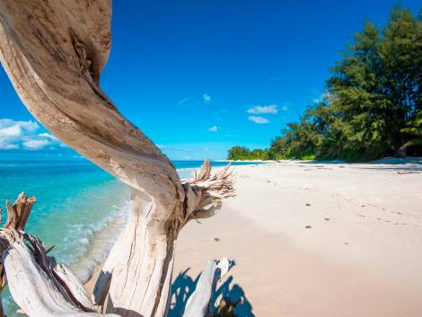 Seychelles, arrivi da record: dall’Italia crescita del 18%