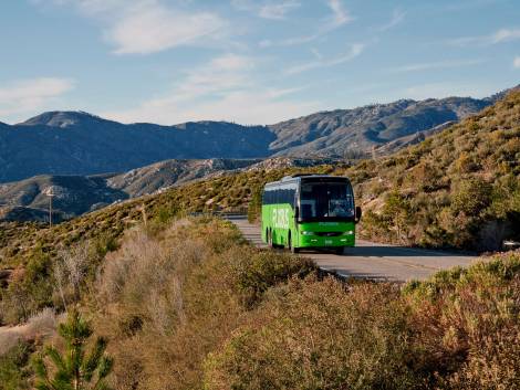 Dl Carburanti approvato in Senato, FlixBus: “Un errore non includere il trasporto passeggeri”