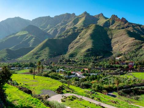 Gran Canaria struttura l’offerta enoturistica