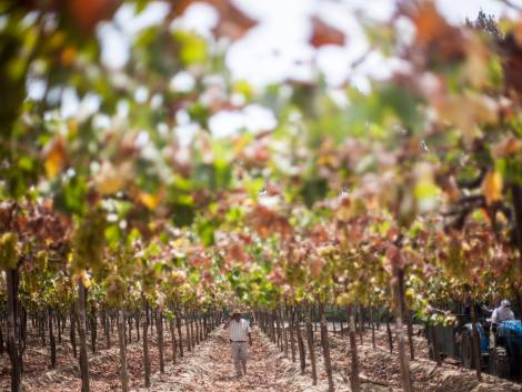 Il Perù lungo la Ruta del Pisco