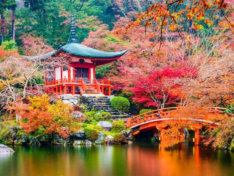 Crociere, rotta verso l’Asia: il richiamo del Giappone