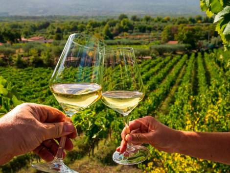 Enoturismo: i numeri del business in Italia