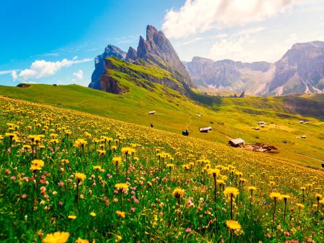 Trentino, nel 2024 arrivi e presenze in crescita