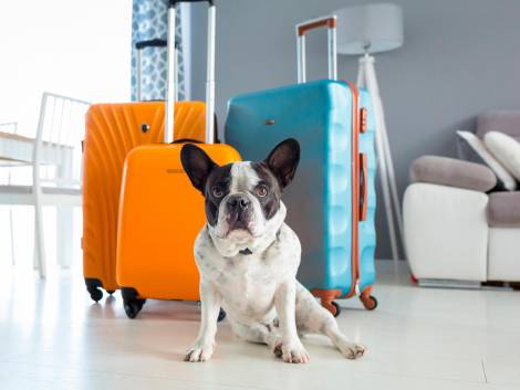 Pet tourism in crescita, un tesoro da oltre 9 miliardi di euro