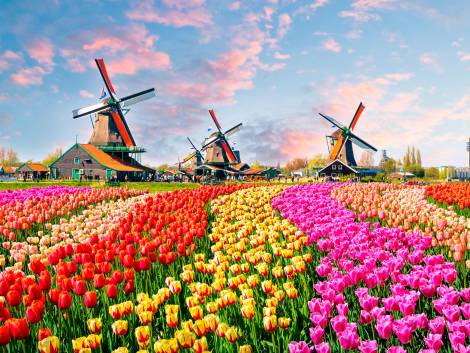 Le attrazioni a pagamentoCosì cambierà il turismo