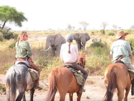 Horse Voyage,Volonline battezzail t.o. a cavallo