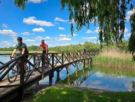 Cicloturismo a Kopački rit. Foto di Matko Mance