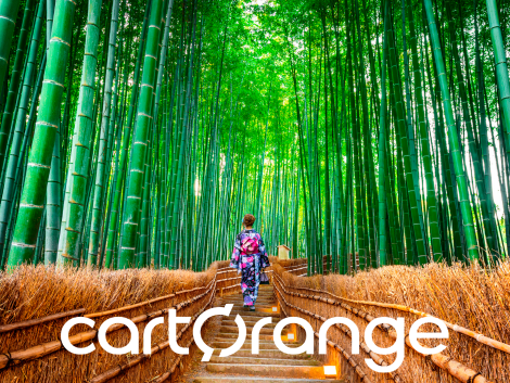CartOrange e il suo tour operator: un servizio “su misura” per i Consulenti di viaggio. Quando la personalizzazione diventa identità