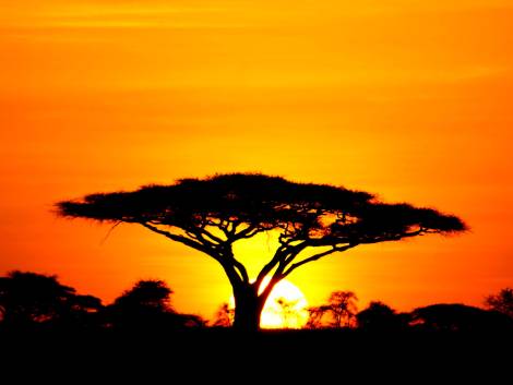 Tanzania, da domani 1 ottobre assicurazione obbligatoria per l’ingresso
