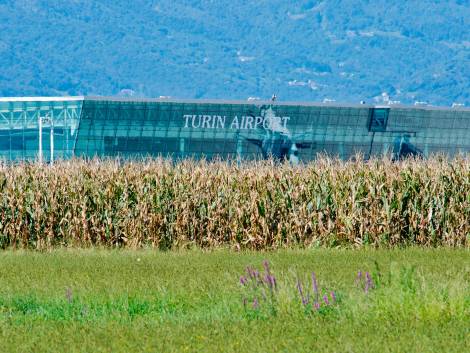 Andorno, Caselle:“I nostri datirestano positivi”