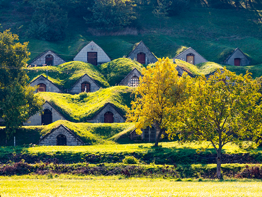 Ungheria: molto più di un city break