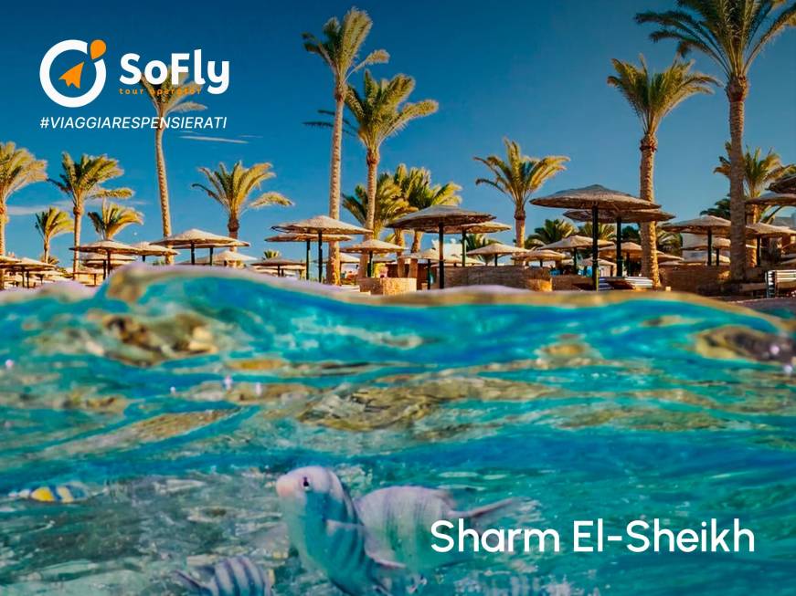 SoFly Tour Operator: per le agenzie più destinazioni e una piattaforma per ottimizzare le vendite