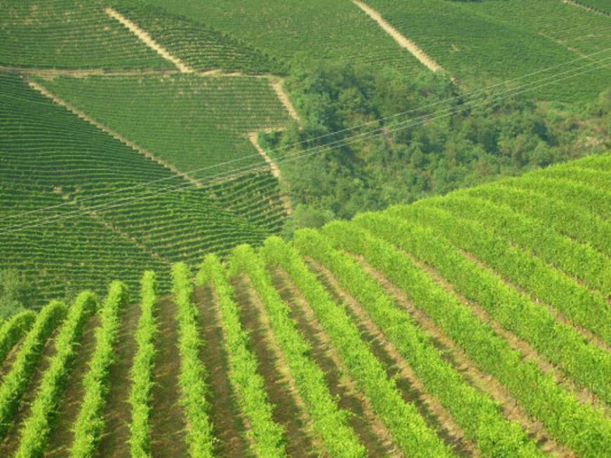 Patrimonio Unesco, il marchio arriva su Langhe-Roero e Monferrato