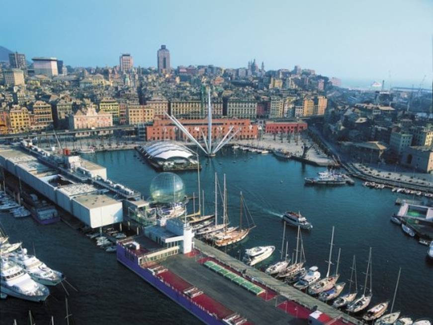 Capodanno alternativo con i delfini, la proposta dell&amp;#39;Acquario di Genova