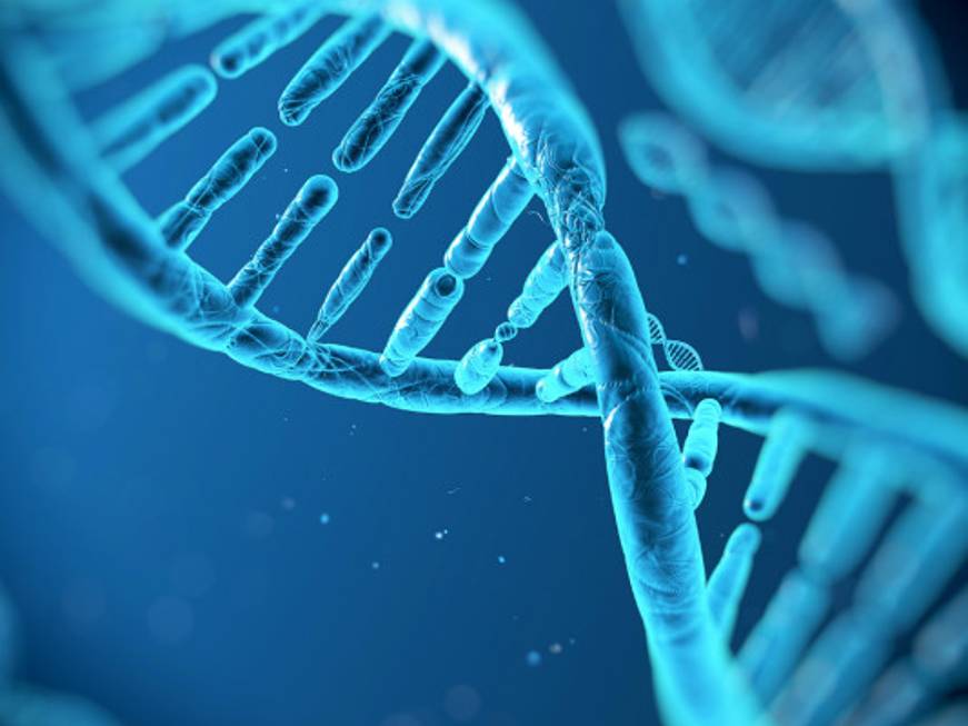 Destinazioni: va&amp;#39; dove ti porta il Dna