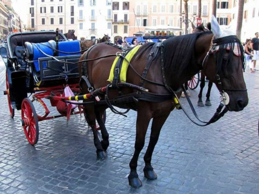 Stop a Roma alle &amp;#39;botticelle&amp;#39;: potranno circolare solo nei parchi