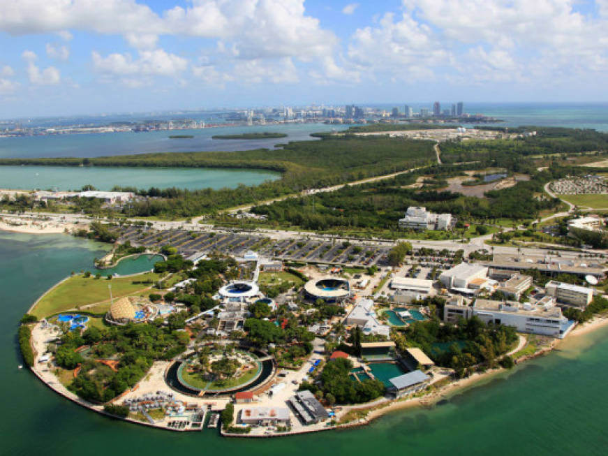 The Dolphin Company acquisisce il Miami Seaquarium