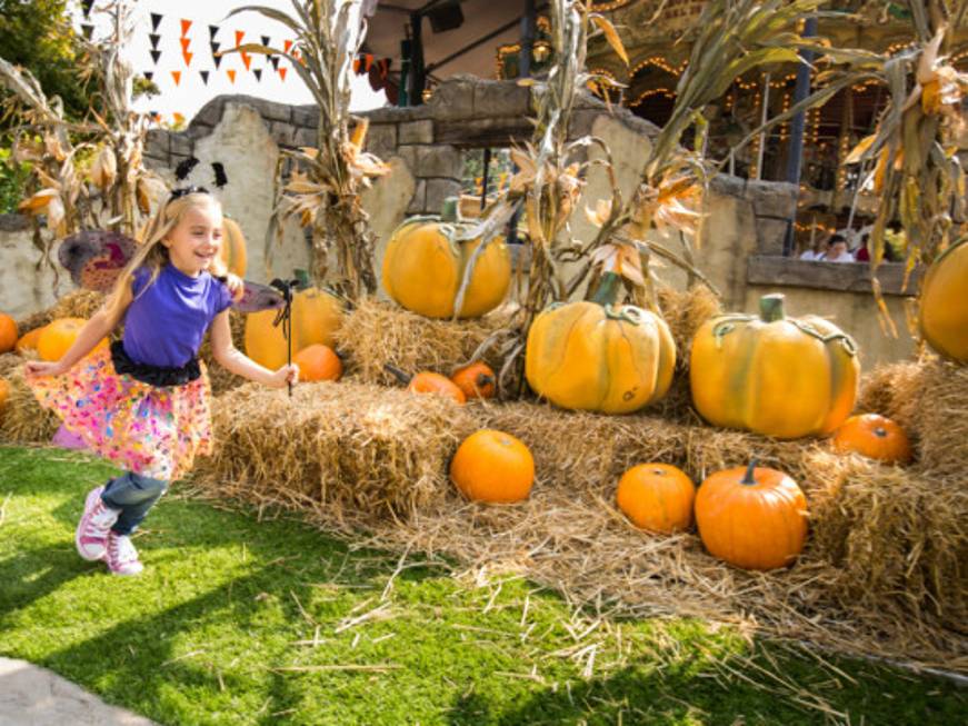 Leolandia, al via i festeggiamenti per HalLEOween