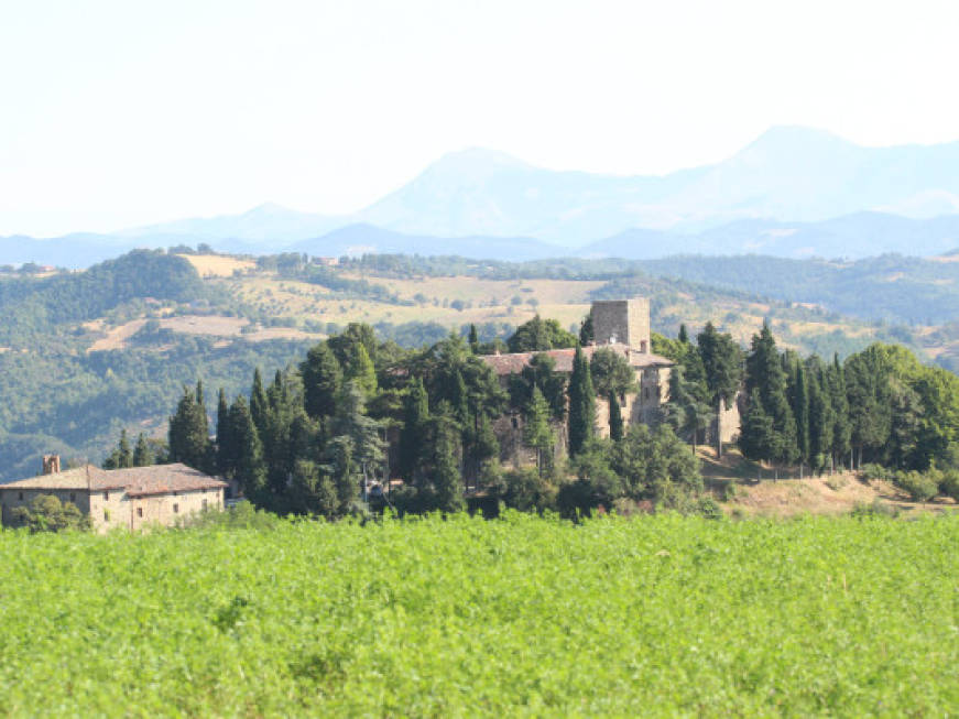 Caccia al tartufo: l’esperienza per turisti a Perugia
