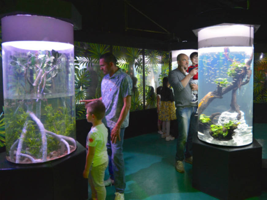 Il Gardaland Sea Life Aquarium porta gli ospiti in Amazzonia