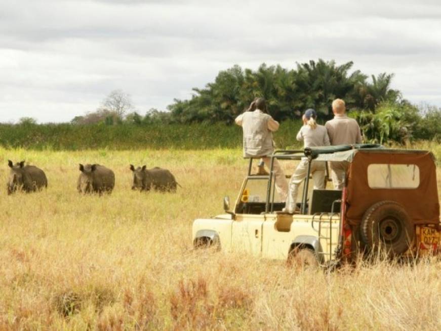 Passatempo rilancia sul Kenya con il prodotto safari