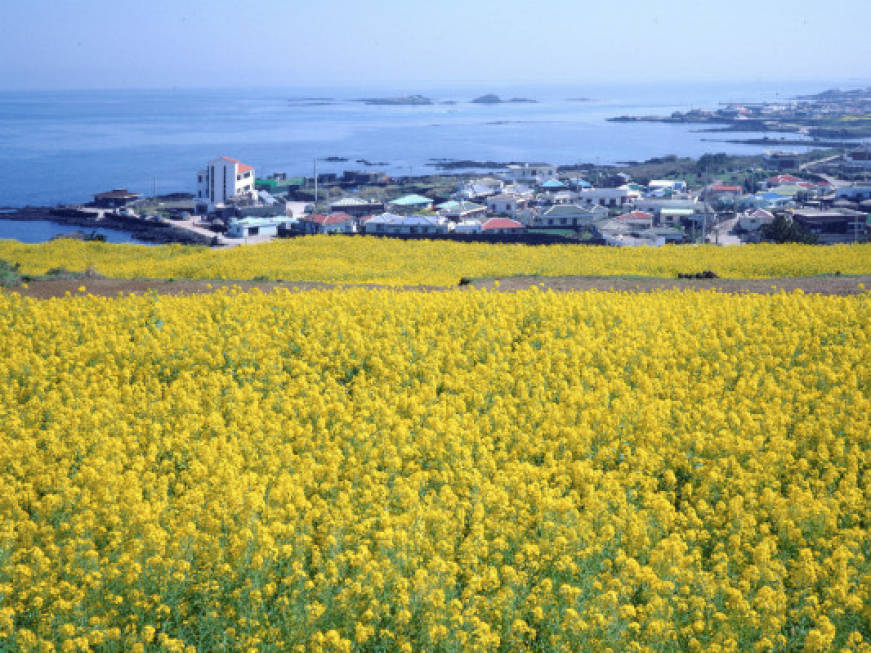 Arriva un'altra tassa di soggiorno: ora tocca a Jeju, Corea del Sud