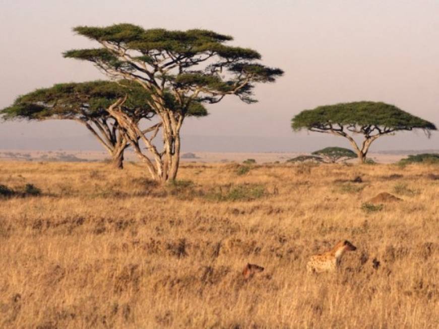 Il Kenya torna nell&amp;#39;Africa de I Viaggi di Maurizio Levi
