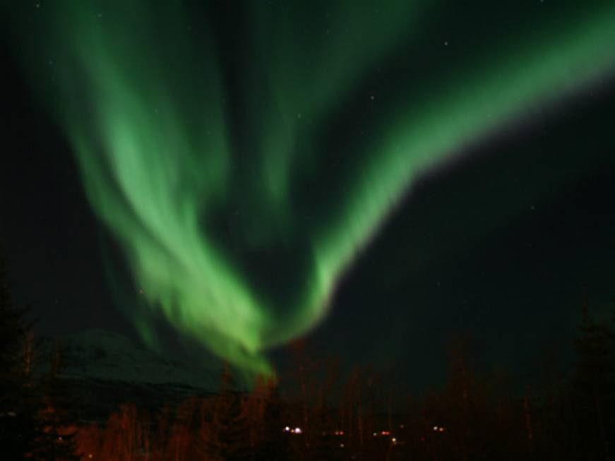 Il Nord Europa di Agamatour tra safari con cani da slitta e aurora boreale