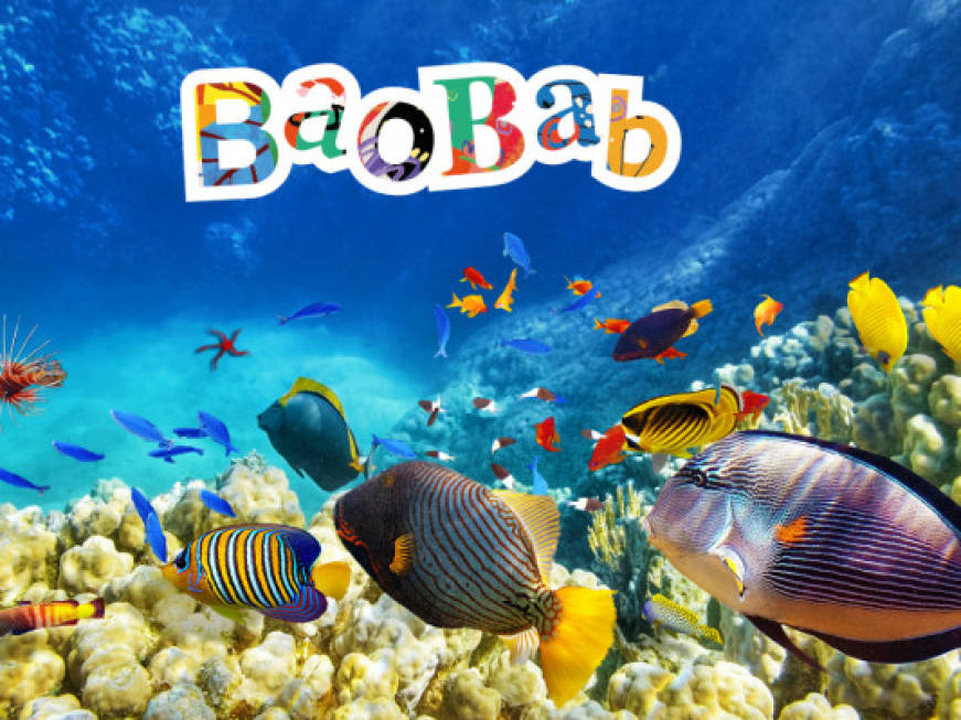 Baobab apre oggi le vendite per il Mar Rosso