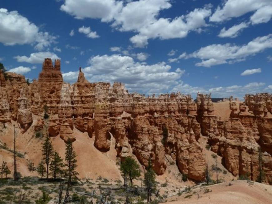Il Girasole Viaggi propone gli Usa in treno con Amtrak