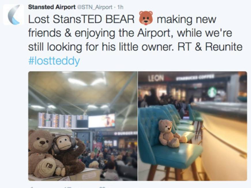 StansTED Bear, storia dell&amp;#39;orsacchiotto smarrito all&amp;#39;aeroporto di Londra