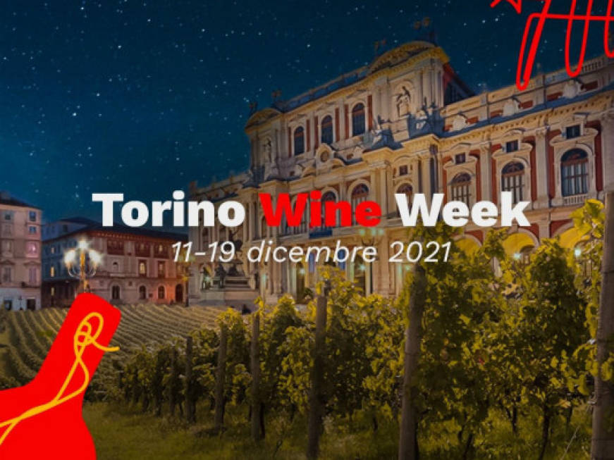 Enoturismo, al via sabato 11 dicembre la Torino Wine Week