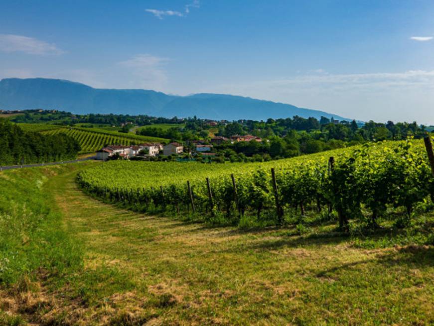 Le Colline del Prosecco sono Patrimonio Unesco