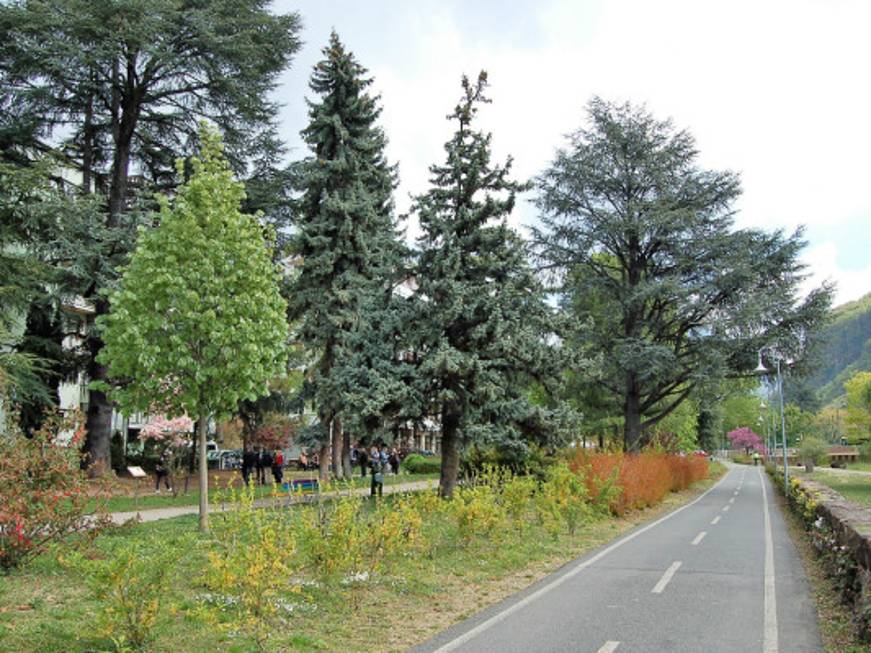 Rilassarsi con le frequenze degli alberi: apre a Bolzano il ‘Parco Bioenergetico’