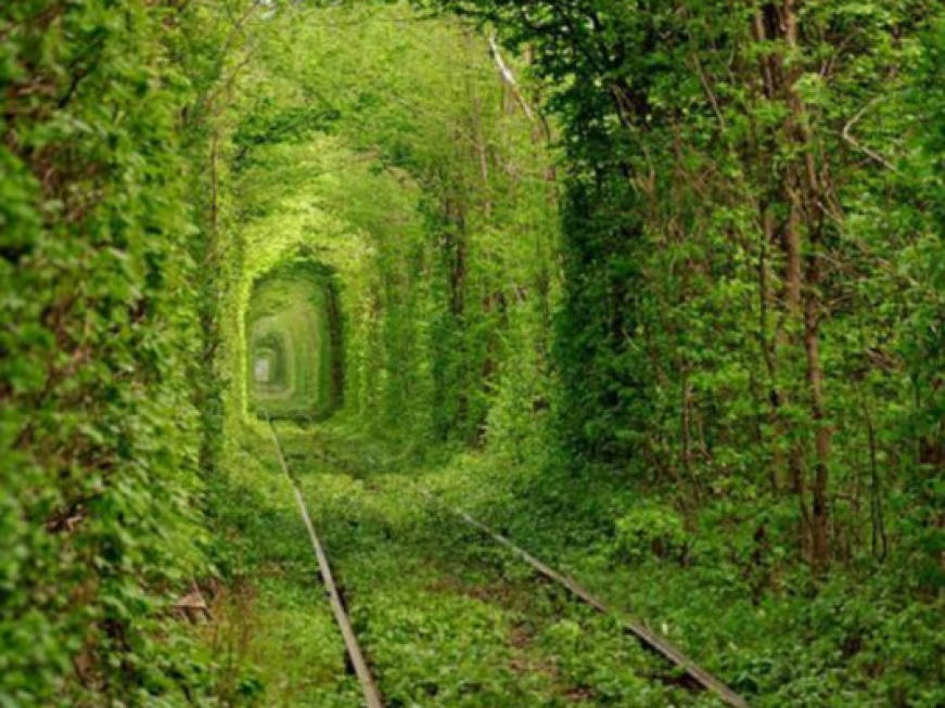 Treni panoramici: i percorsi ferroviari più strani del mondo. La fotogallery
