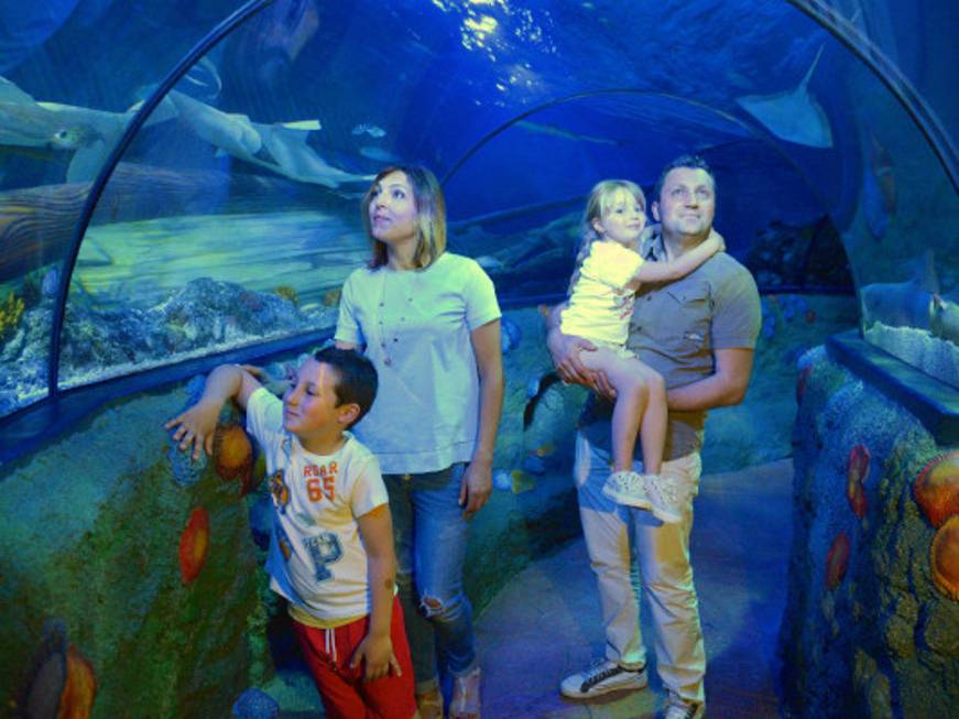 I primi 10 anni del Gardaland Sea Life Aquarium