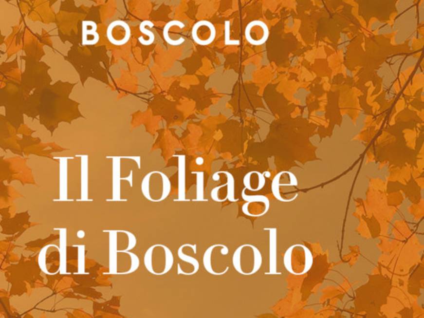 Boscolo: autunno di scoperta con i viaggi guidati fra Italia ed Europa