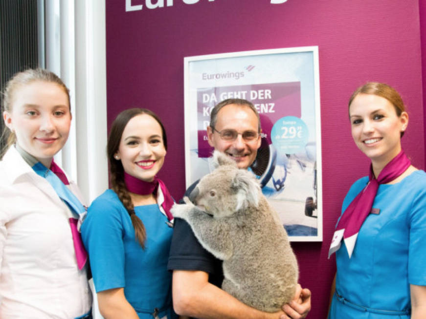 Eurowings e i passeggeri speciali: un koala in cabina diretto a Edinburgo