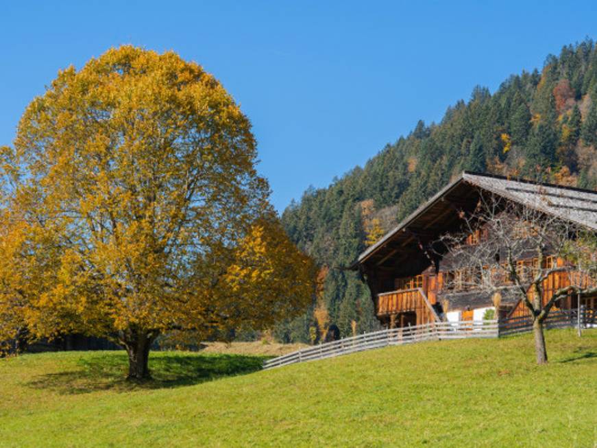 Bene l’agriturismo, ma molte le strutture chiuse per i costi