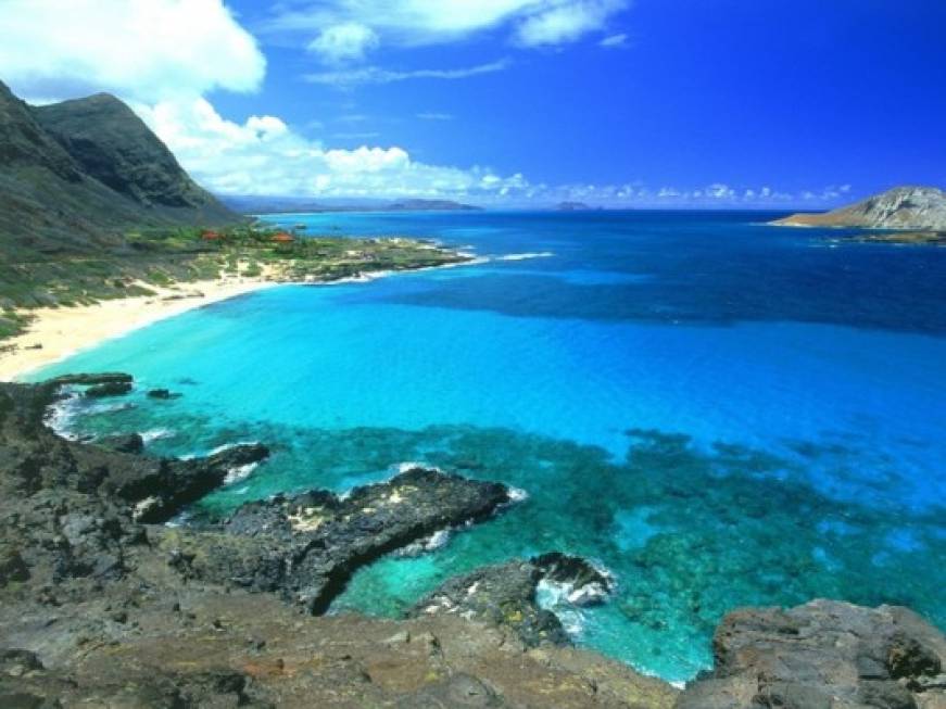 Hawaii, aree precluse ai turisti per tutelare i delfini