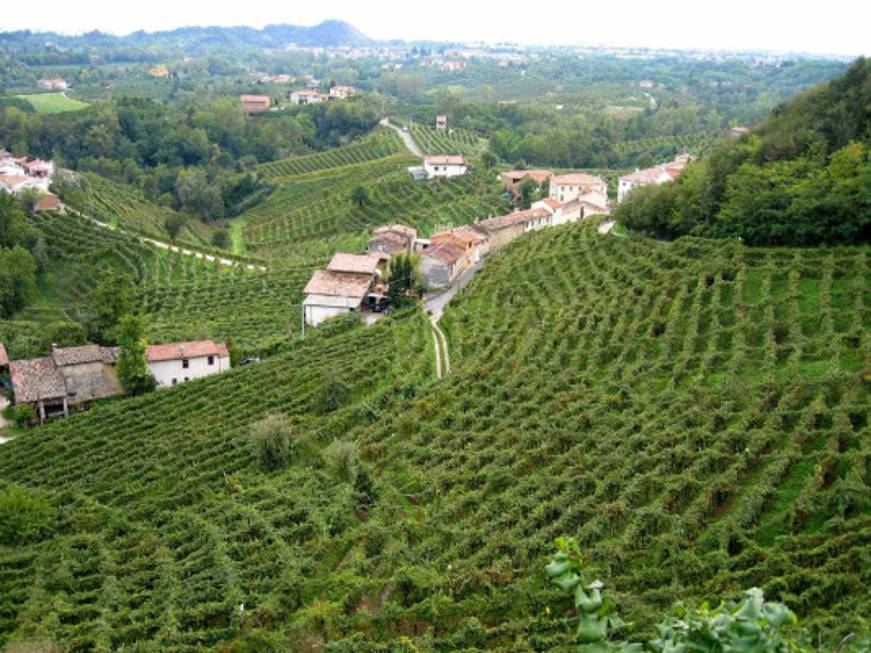 Movimento turismo del Vino: torna domenica 26 Cantine Aperte