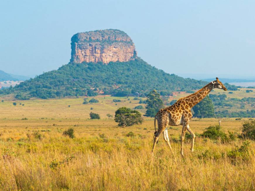 La rinascita dell’Africa: protagonista dell’anno