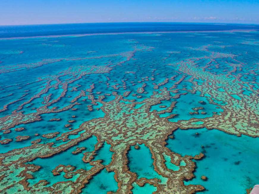 Australia: la Grande Barriera è in pericolo e i turisti corrono a visitarla