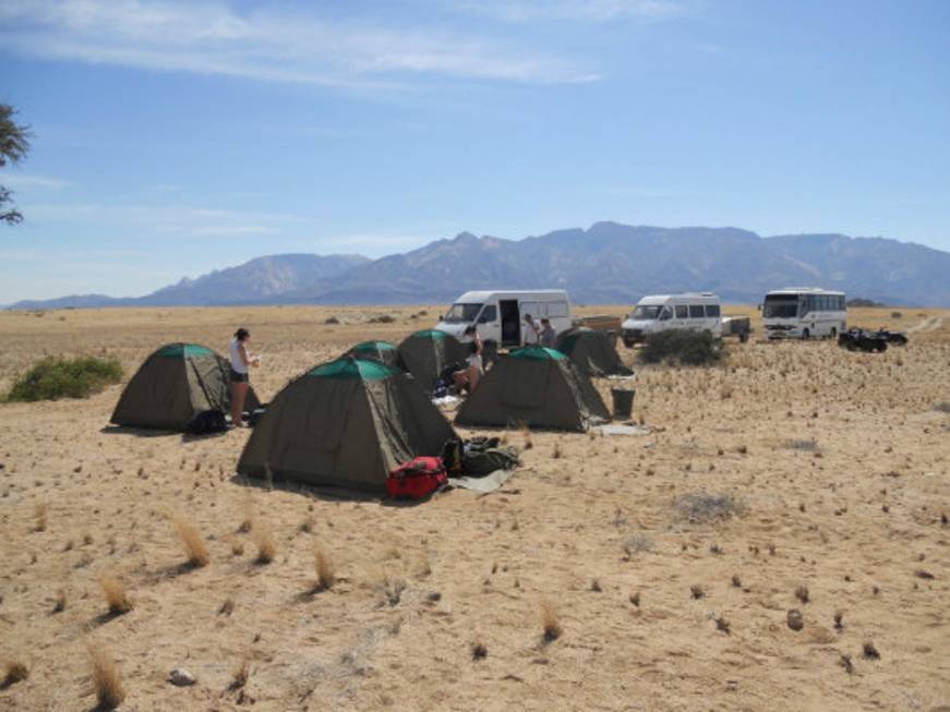 Viaggi dell&amp;#39;Elefante: trend di vendite positivo in Namibia