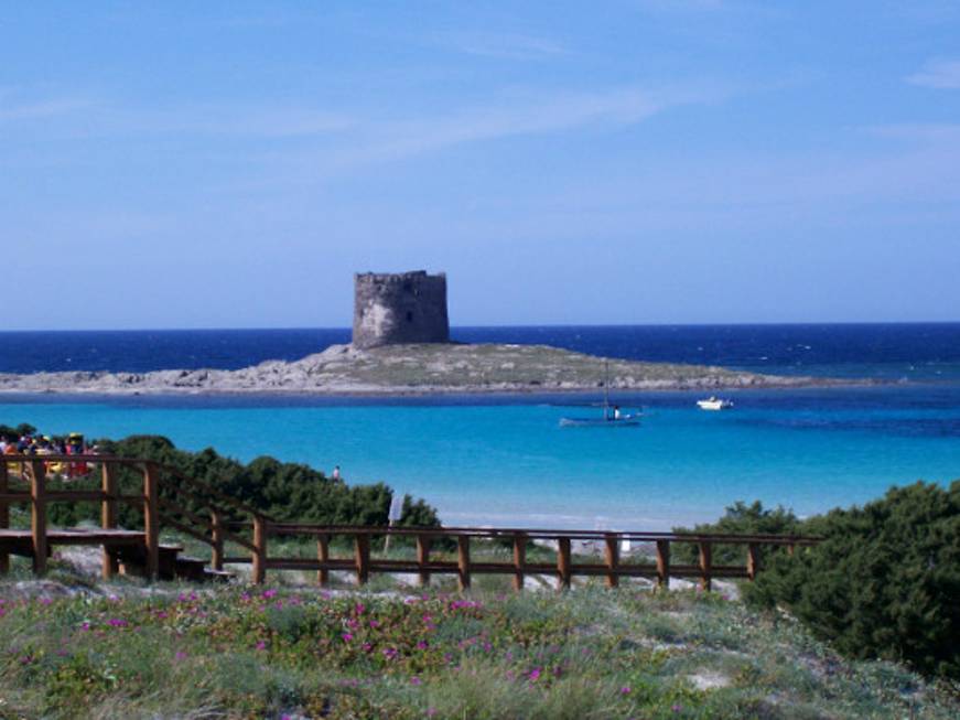 Spiaggia della Pelosa di Stintino: si va verso numero chiuso e ingresso a pagamento