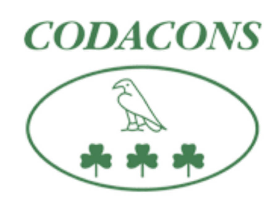 Codacons, pignorati 300mila euro: ora rischia la chiusura Codacons, pignorati 300mila euro: ora rischia la chiusura