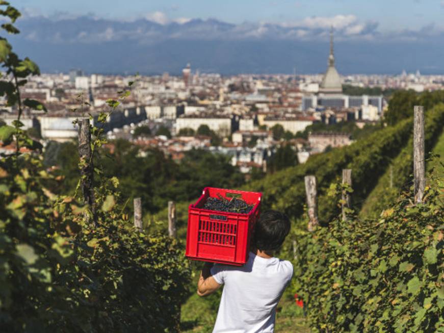 Vigne e giardini urbani. Il futuro del turismo green è anche in città